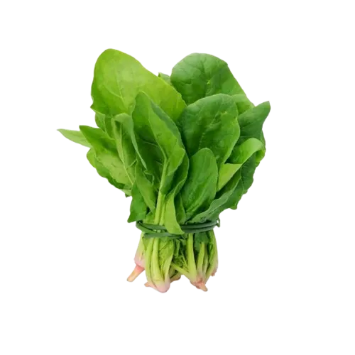 ESPINACAs AGROECOLOGICAS | PRECIO 2 ATADOS.