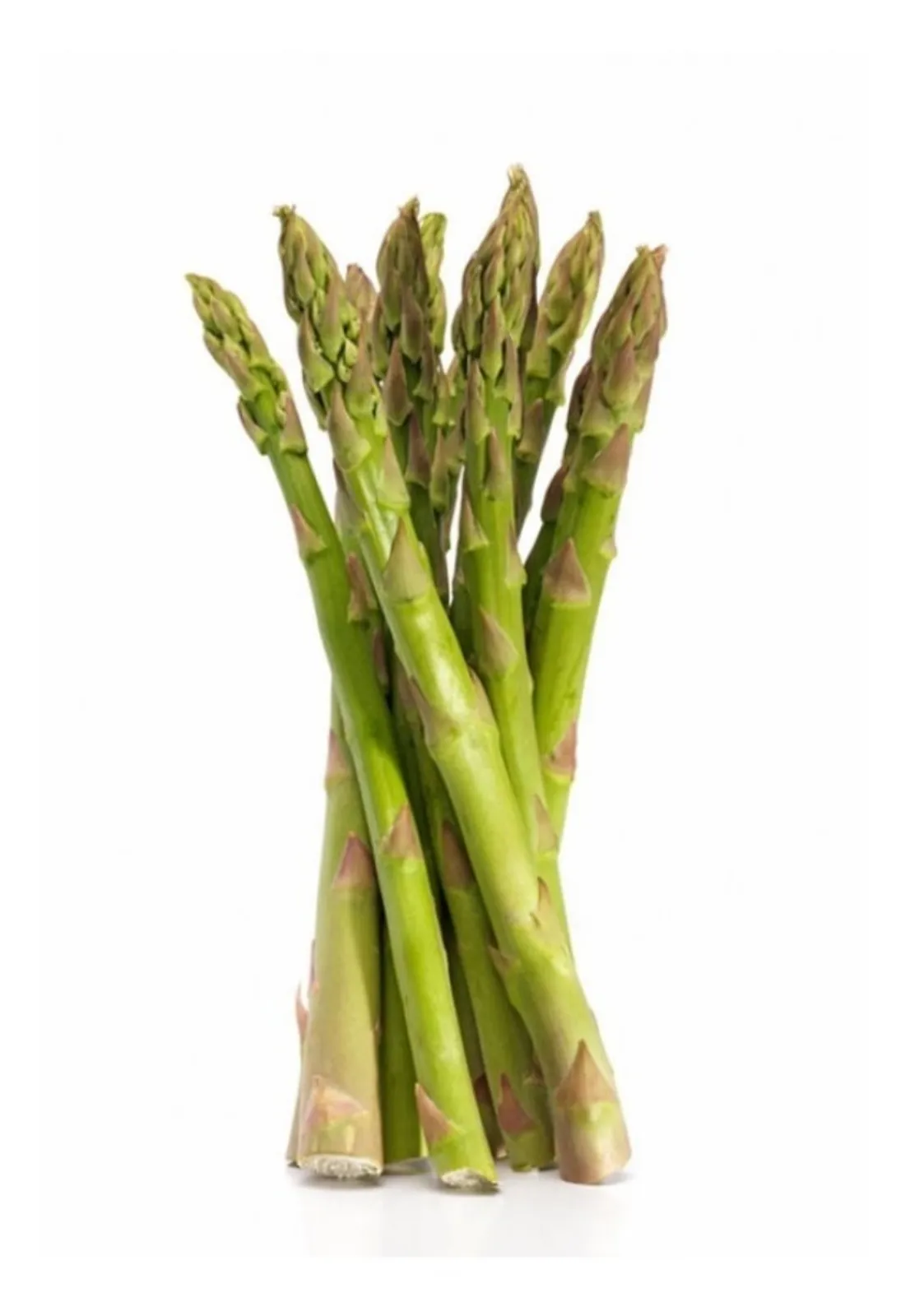 ESPARRAGOS ORGANICOS  |  PRECIO POR 500g
