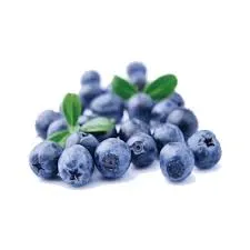 ARANDANOS ORGANICOS  |  100g