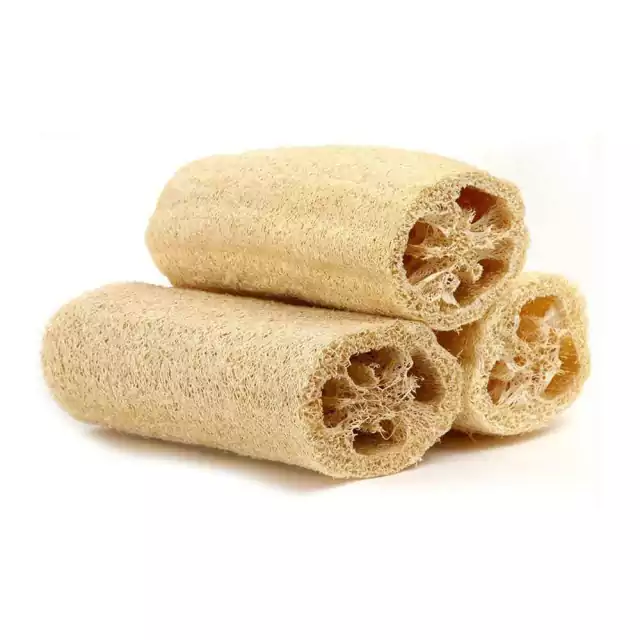 ESPONJA VEGETAL LUFFA ENTERA - MIRAFLORES