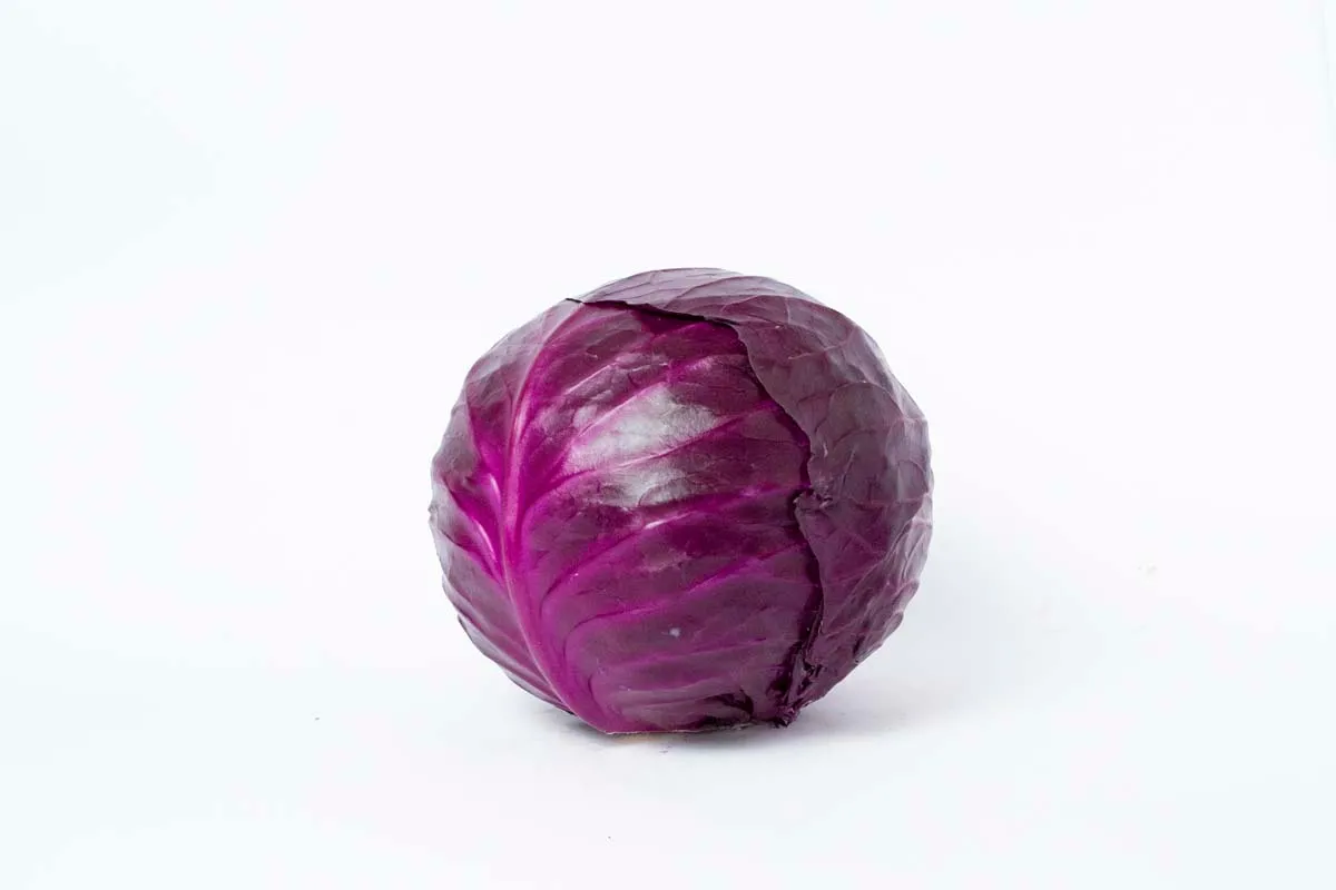 REPOLLO MORADO ORGANICO | PRECIO POR UNIDAD 1.2 KILO APROX.