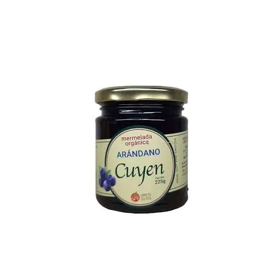 MERMELADA ORGANICA ARANDANOS | CUYEN x 225g