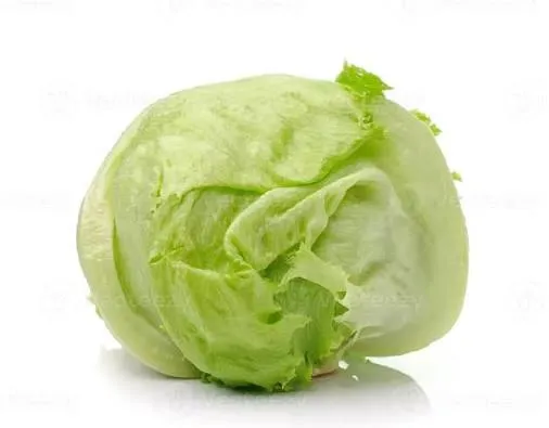 LECHUGA CAPUCHINA AGROECOLOGICA |  PRECIO POR UNIDAD.