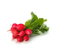 RABANITOS AGROECOLOGICOS  | PRECIO POR ATADO