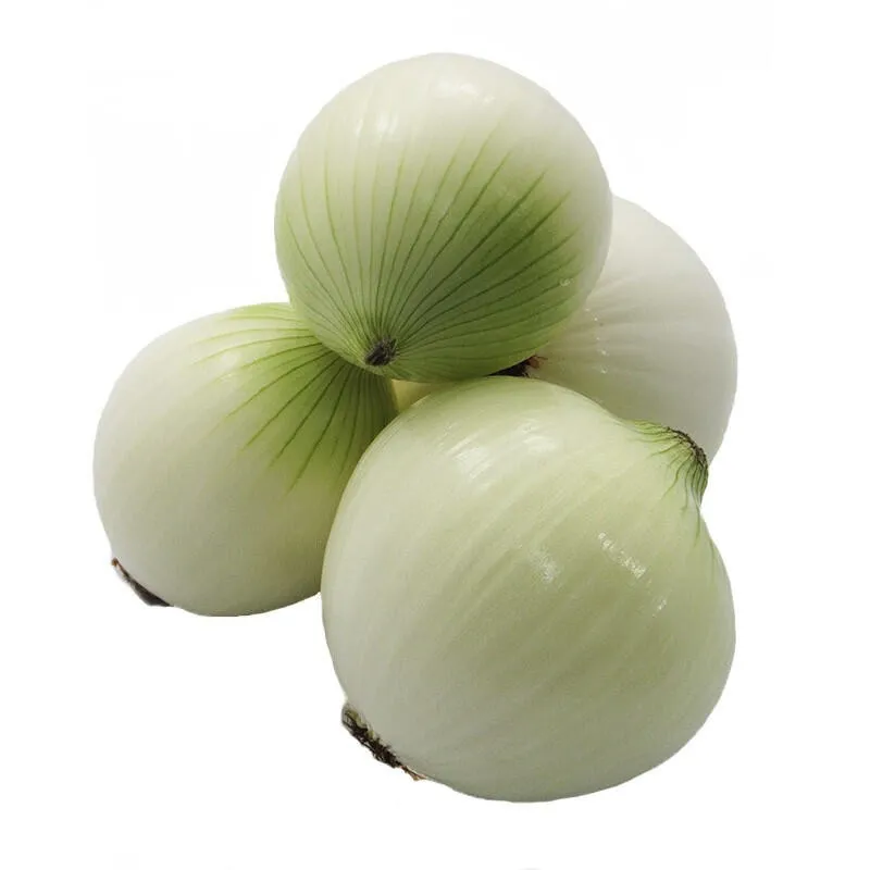 CEBOLLA BLANCA ORGANICA | PRECIO POR MEDIO KILO